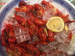 -眼镜哥浦江夜宵大本营