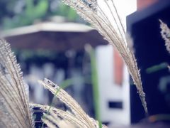 -Willing·Coffee&Brunch&Dinner(万达店)