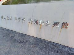 -荷兰花海
