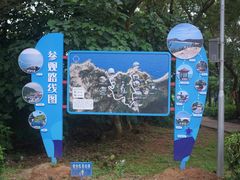 -广东惠东海龟国家级自然保护区