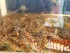 -海门岛七号餐厅