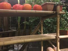 景观位-捞锅坝子老火锅(汽博中心店)