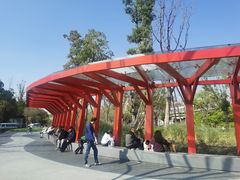 -神仙树公园
