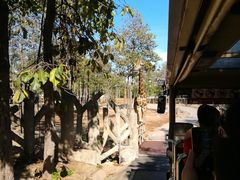 -清迈夜间动物园