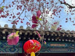 -潭柘寺景区