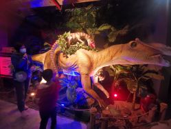 -恐龙探索乐园(磁器口店)