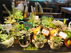 -咖啡陪你(广顺北大街福码大厦店)