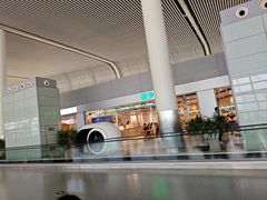 -合肥新桥国际机场-航站楼