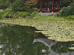 -北湖公园