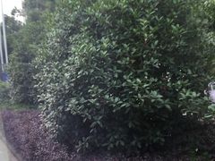 -园丁阁酒店(清流水韵店)