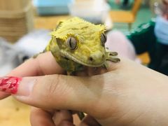 -藦茜花园宠物主题亲子互动体验馆(国顺东路店)