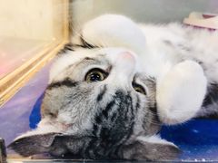 -乐宠宠物店(世纪金源店)