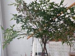 -梵花教室(壹品广场店)