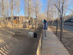 -鄂尔多斯野生动物园