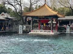 -金春禧(世茂国际广场店)