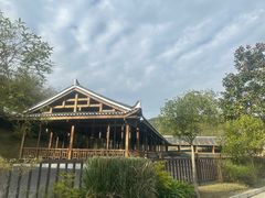 -贵州百里杜鹃风景名胜区