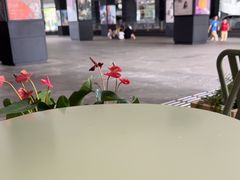 -可颂坊(中心书城店)