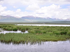 -花湖生态旅游区