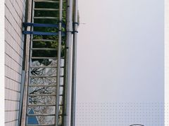 -合肥滨湖国家森林公园