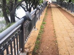 -清溪水库