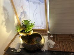 -溢美古法抗衰