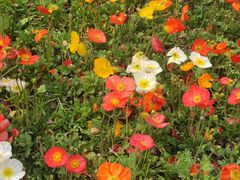 -徐家汇源景区-衡山公园