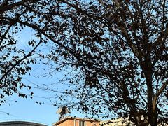 -西安电影制片厂