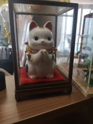 -乐橙肌愈·屏障修护专研所