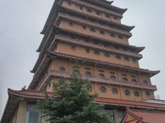 -华西村