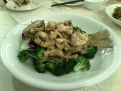 android_upload_pic-惠爱餐厅
