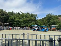 -棒棰岛宾馆景区