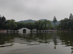 -鲁镇