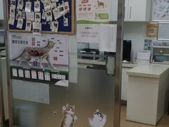 -宠颐生中康贝怡动物医院