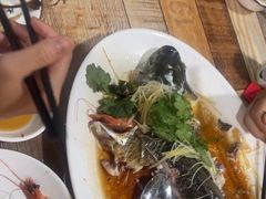 -东鸽皇(奥园·中环广场店)