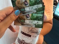 -清迈夜间动物园