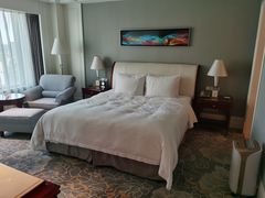 -上海圣淘沙万怡酒店