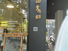 -猫里有甜