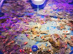 -澜悦港海鲜体验主题餐厅