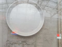 -Tubestation站点比萨(五道营店)