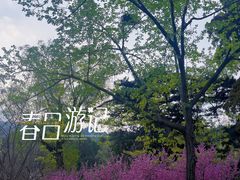 -香山公园