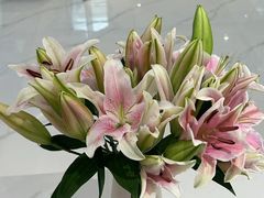 -固瑞齿科·口腔·种植·矫正(恒隆分院)