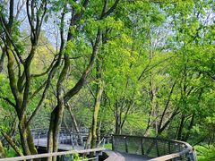 -西湖风景区-江洋畈生态公园