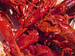 -巴厘龙虾·榜首油焖大虾(洞庭·艺术洋房店)