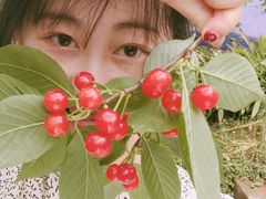 -樱桃山旅游景区