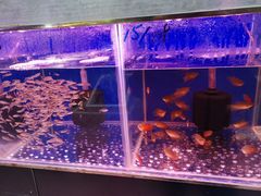 -秦美花卉(天朗·莱茵小城2期店)