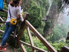 -雁荡山风景名胜区-小龙湫