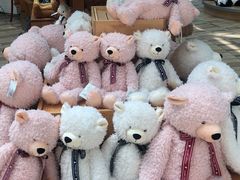 -济州岛泰迪熊博物馆