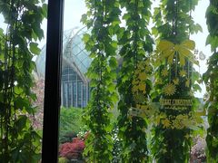 -炉鱼(云澜湾店)