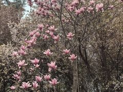 -木塔寺遗址生态公园