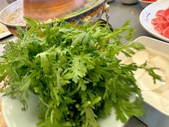 -曲氏老北京铜锅涮肉•火锅(不老街店)